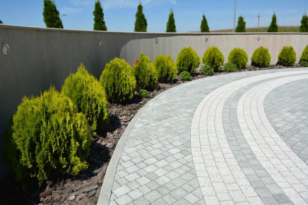 Best Driveway Paving Contractor  in Woodstock, AL